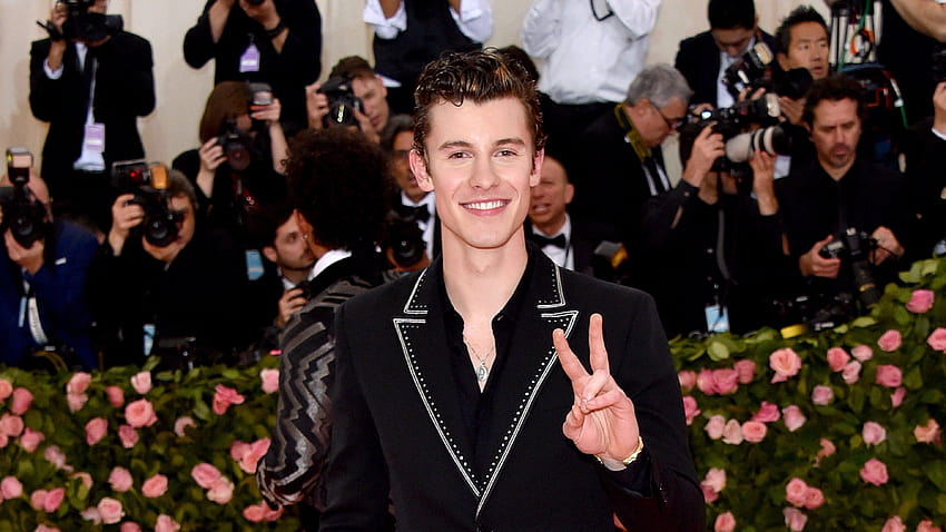 Shawn Mendes Responds to Fans Who Were Upset After He Didn't, shawn mendes senorita HD wallpaper