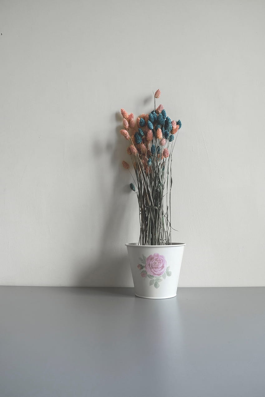 Best Flower Pot ·, flowerpot HD phone wallpaper