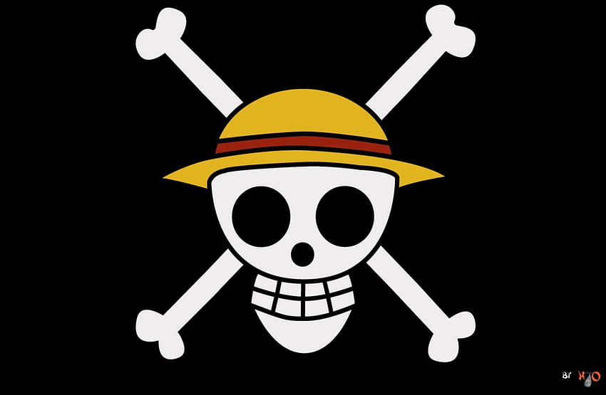 One Piece Characters Symbol, one piece flag HD wallpaper