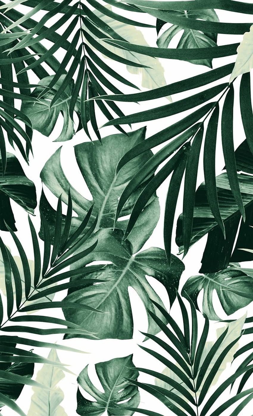 Tropical Jungle Leaves Pattern Window Curtains, tropical pattern HD phone wallpaper