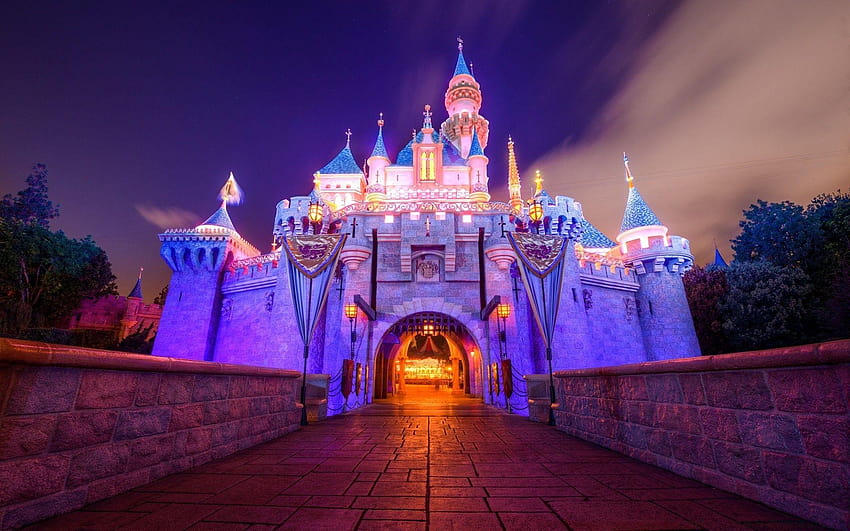 Castillo de la Bella Durmiente, Disneylandia. iPhone para, iphone de la bella durmiente fondo de pantalla