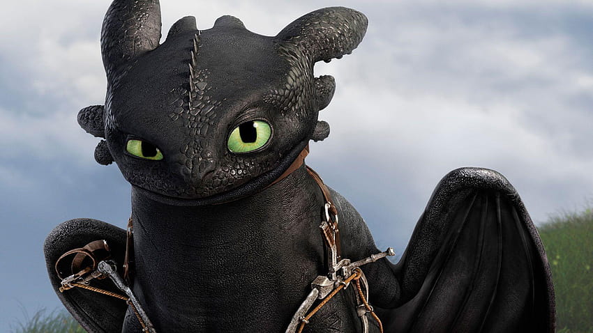 How to Train Your Dragon 2, toothless HD wallpaper