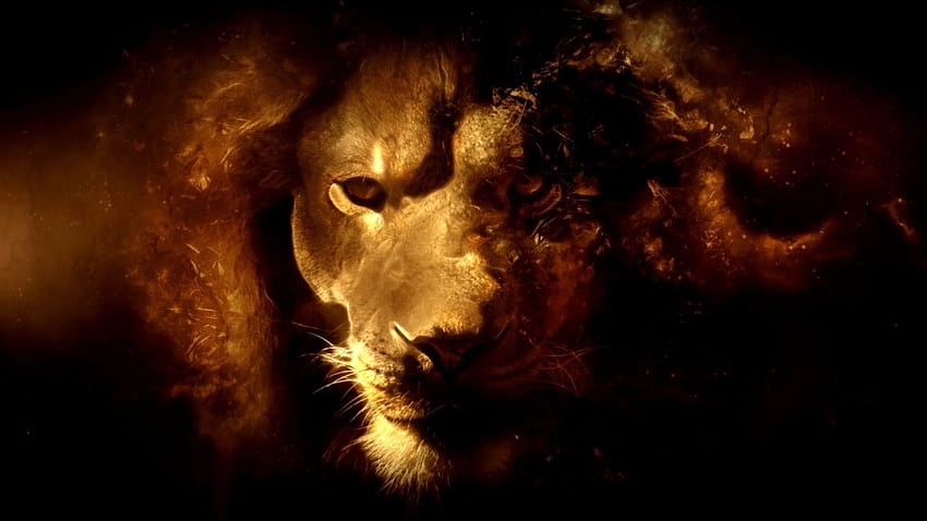 Iphone 7 Lion of Judah สิงโตแห่งเผ่ายูดาห์ วอลล์เปเปอร์ HD