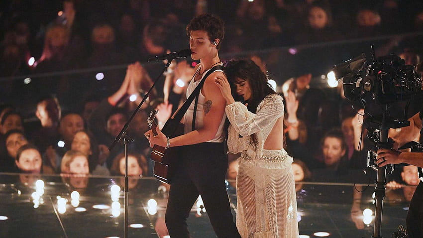 Camila Cabello made a surprise appearance at Shawn Mendes' concert and fans went wild, liar camila cabello HD wallpaper