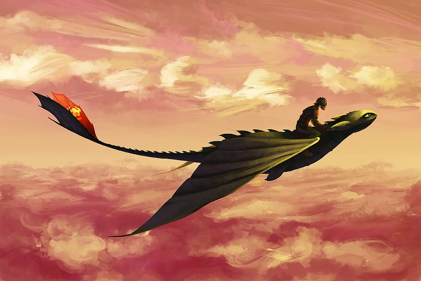 Hiccup and Toothless Flying , Movies , and Backgrounds, toothless and the lightfury HD wallpaper
