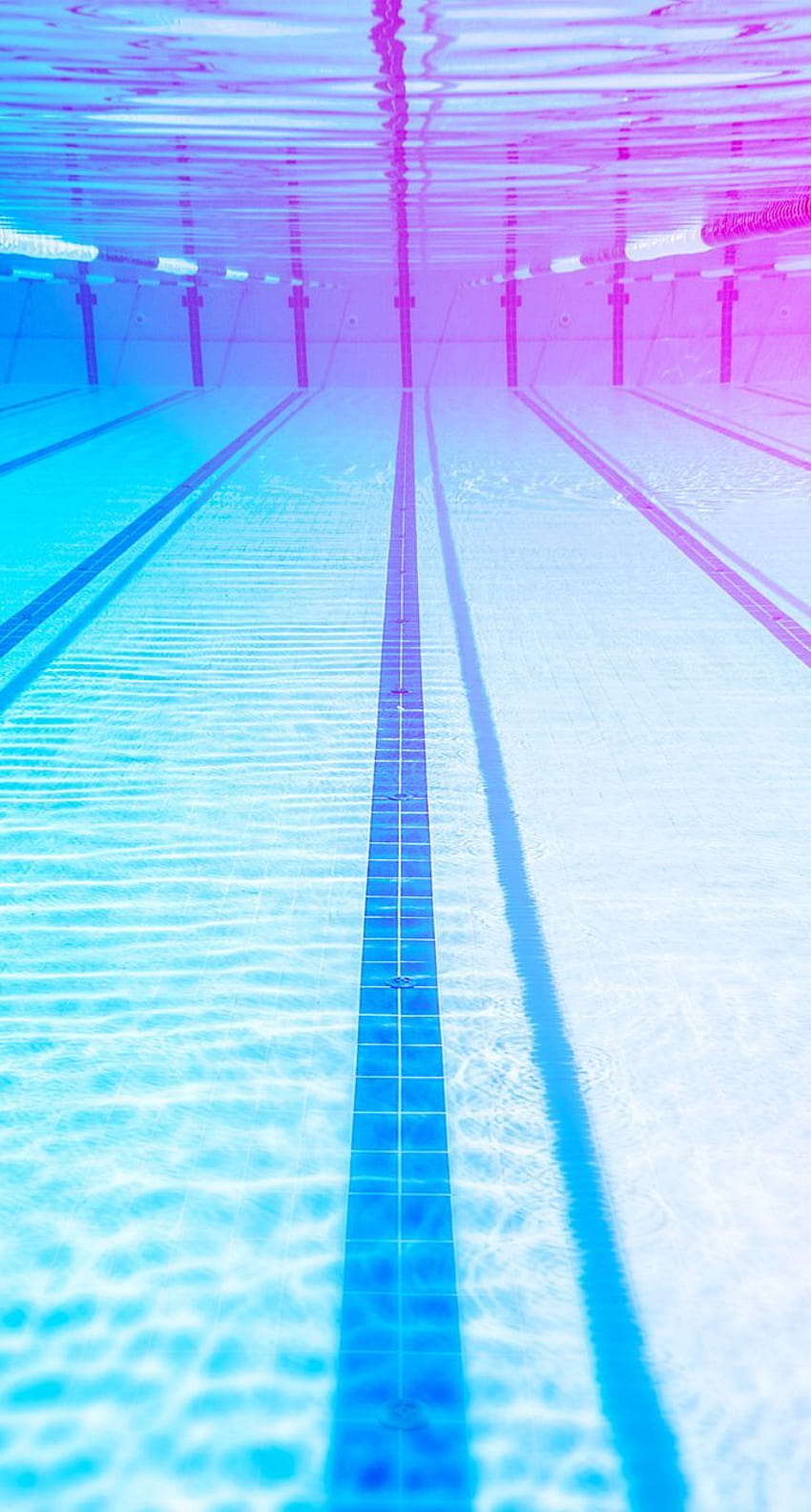 Competitive Swimming, olympic swimming HD phone wallpaper