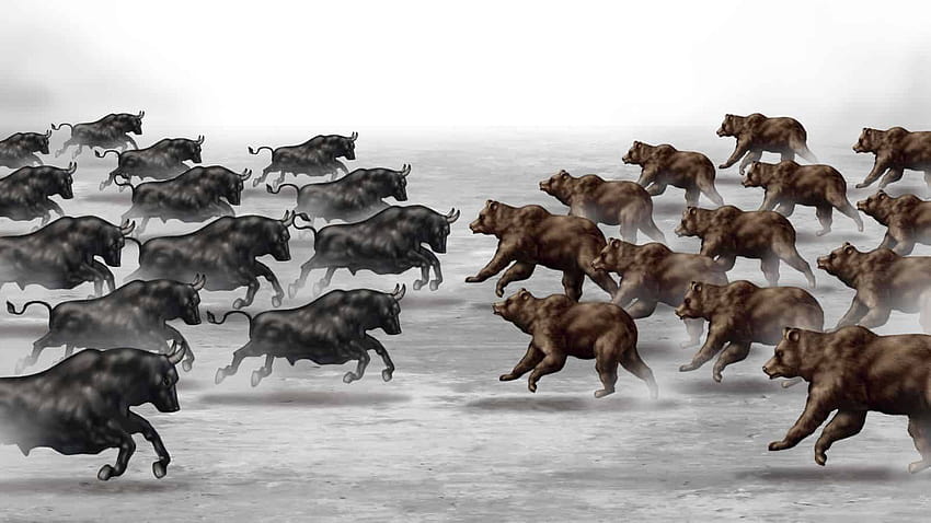 forex toro y oso pc vector bajista ilustración mercado alcista, toro vs oso fondo de pantalla