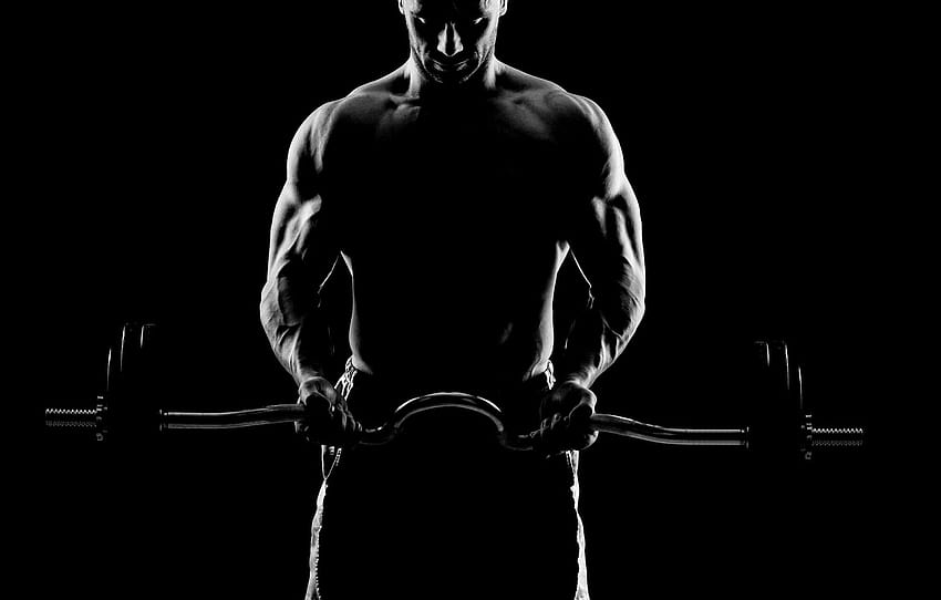 shadow, figure, iron, muscle, muscle, rod, backgrounds black, muscles, athlete, Bodybuilding, bodybuilder, training, weight, bodybuilder, barbell, backgrounds black , section спорт, muscle body HD wallpaper