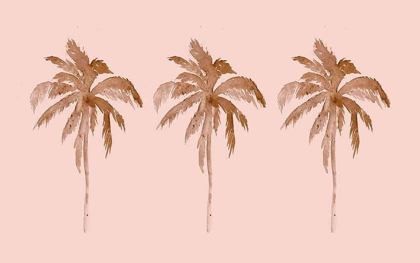 Trois palmiers, logo billabong Fond d'écran HD