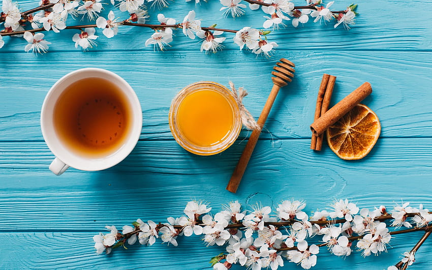 decorazione primaverile, miele, tè, fiori di ciliegio, fiori primaverili, ramo di ciliegio con risoluzione 2560x1600. Alta qualità, primavera del tè Sfondo HD