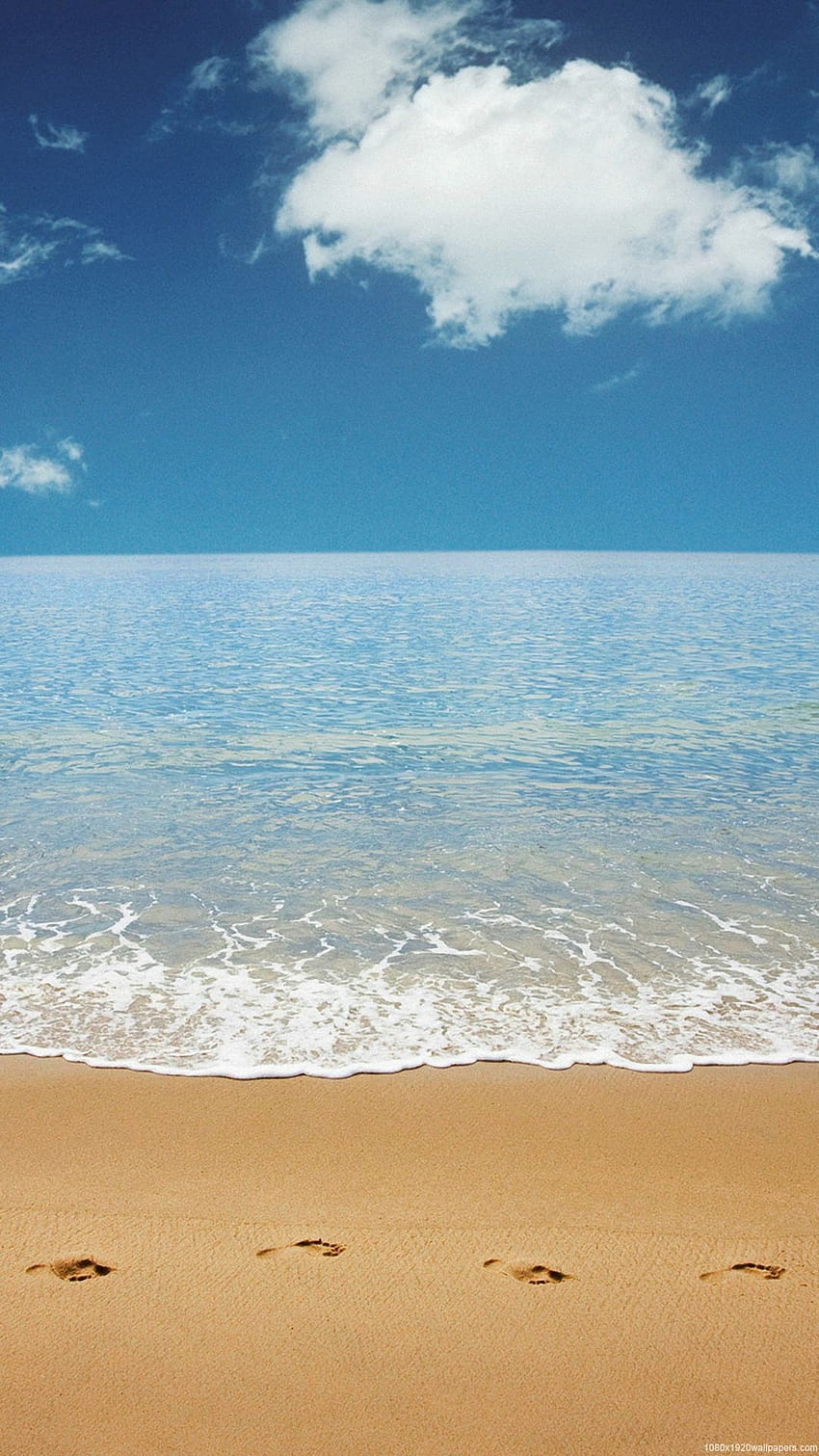 Tropical Beach Live, iphone x seashore HD phone wallpaper