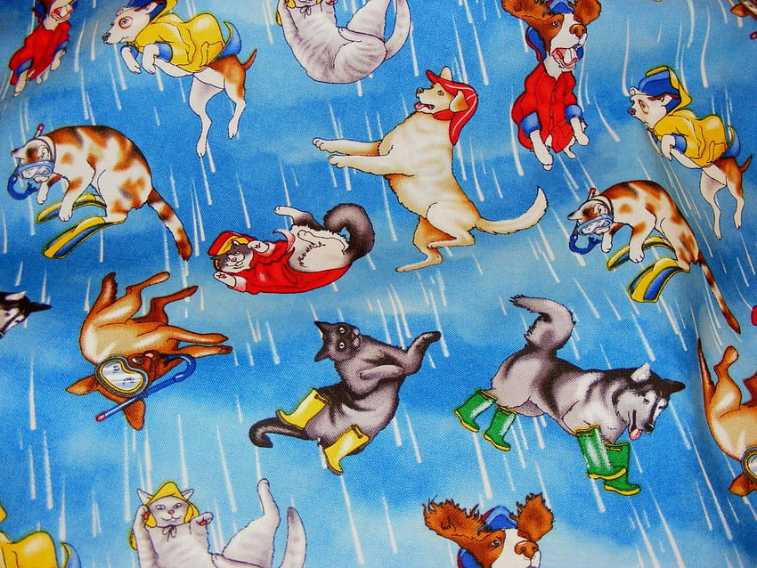 raining cats and dogs ...metro.co.uk HD wallpaper