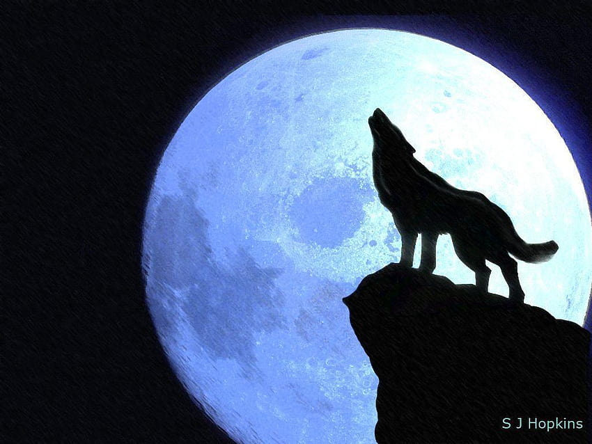 рисунка на вълк, виещ към луната, аниме виещ вълк HD тапет