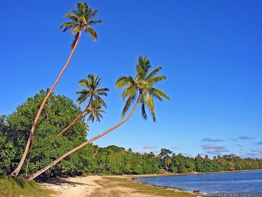 » 자연 배경 » Erakor Beach Vanuatu HD 월페이퍼