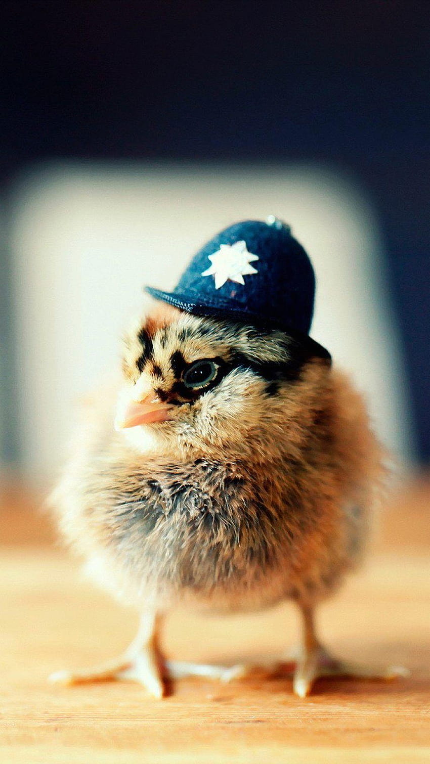 Police chick, so cute~. Cute Animals iPhone HD phone wallpaper