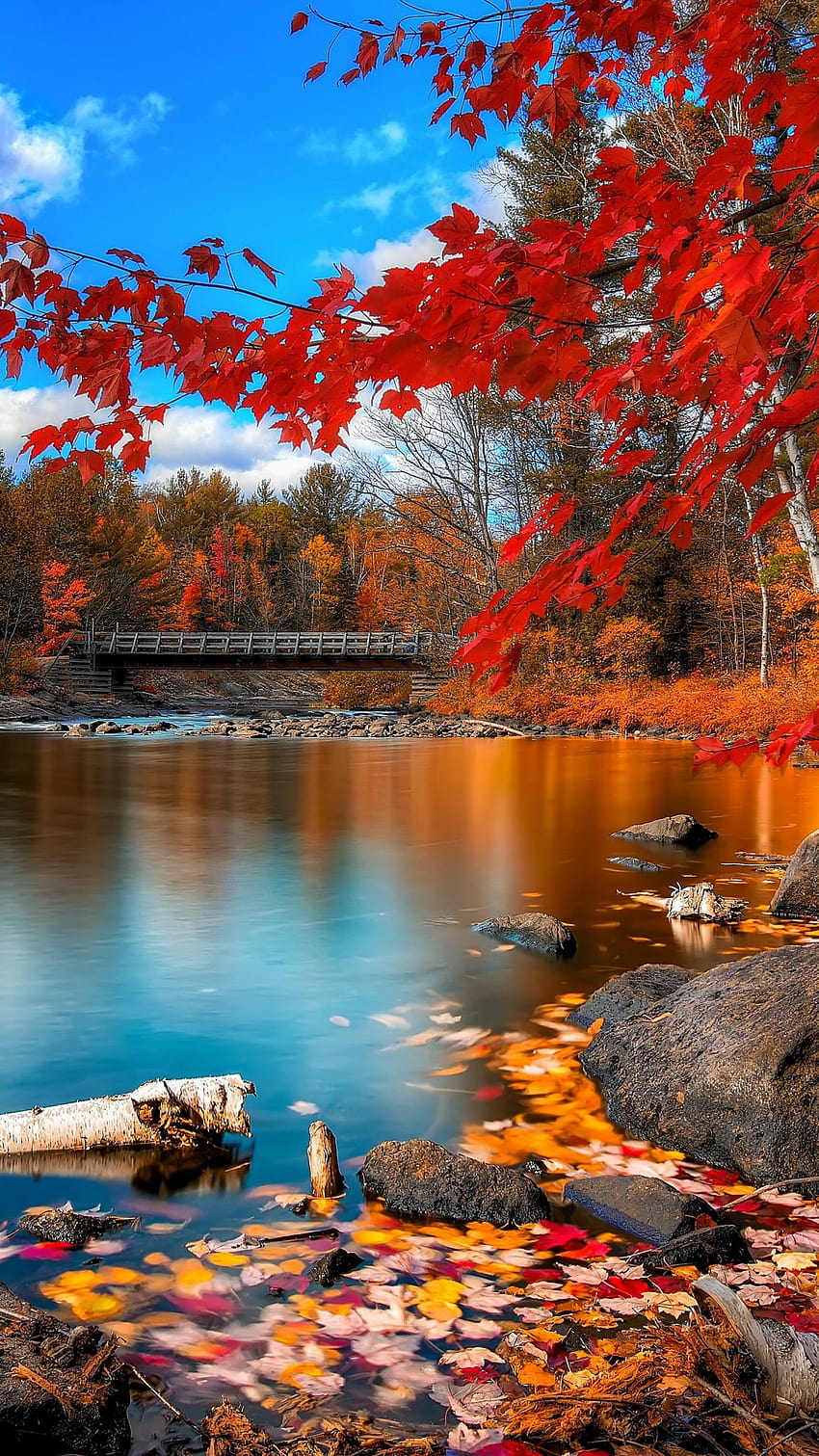 Есен, езеро, гора, природа, есенно езеро iphone HD тапет за телефон
