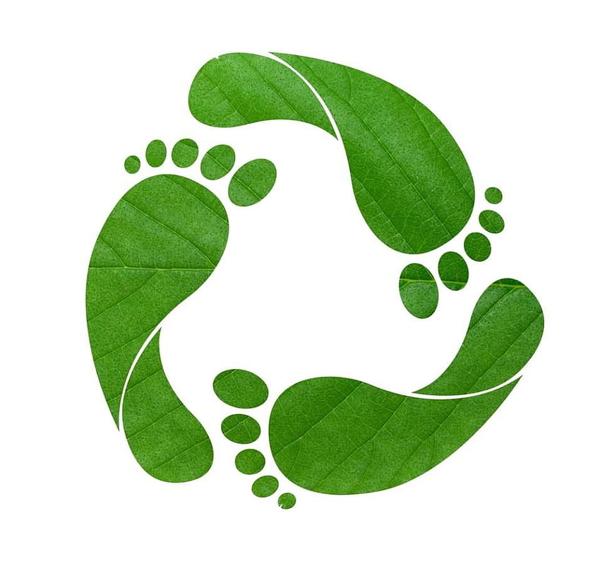 ecological footprint HD wallpaper