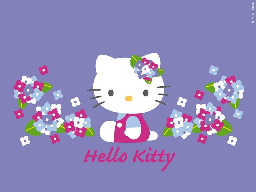Hello Backgrounds Group, ciao kitty ungu terbaru Sfondo HD