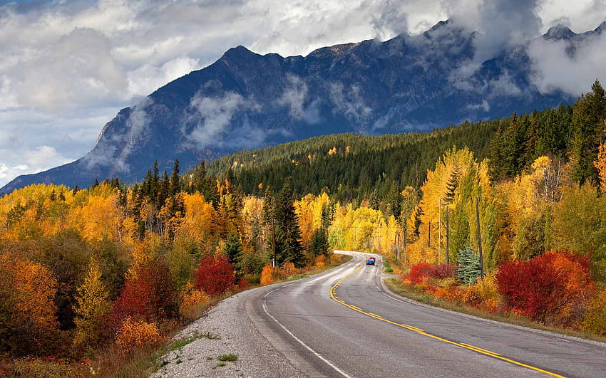 Beautiful Fall Leaves Around the World, bavaria fall colors HD wallpaper