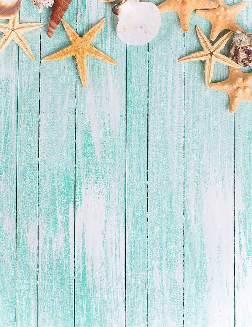Starfish Conch On Baby Blue Wood Floor Backdrop For graphy, summer wood floor HD phone wallpaper