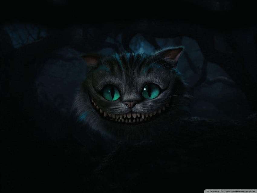 Cheshire Kedisi, Alice Harikalar Diyarında ❤ için HD duvar kağıdı