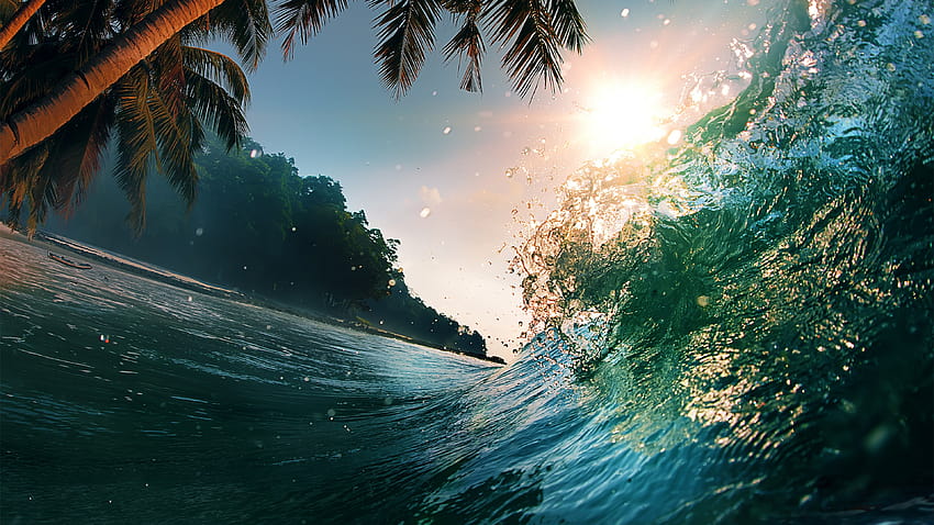 Wave, , ocean, palms, sun, Nature, sun nature HD wallpaper