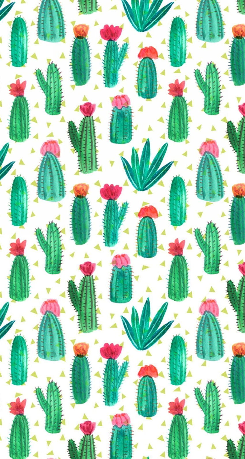 Summer cactus print, cacti HD phone wallpaper