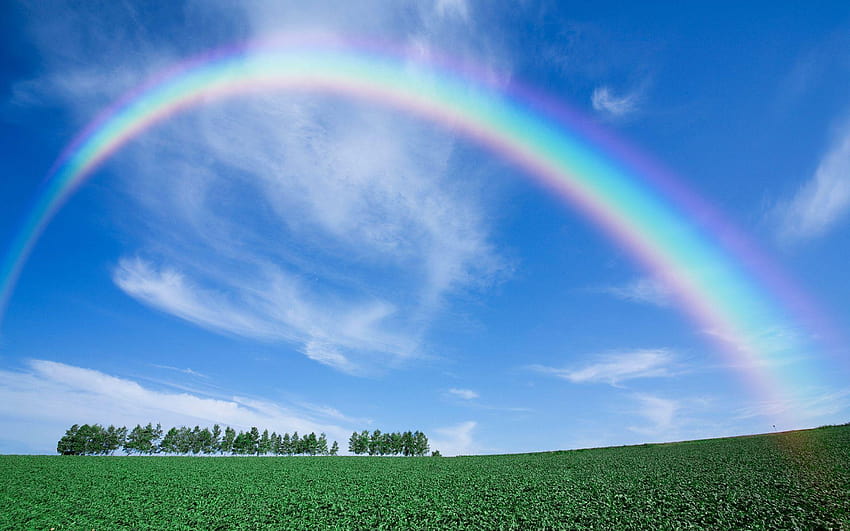 Rainbow In Real Life HD wallpaper | Pxfuel