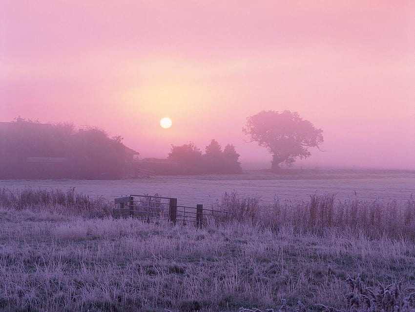 Frosty sunrise, frosty autumn HD wallpaper