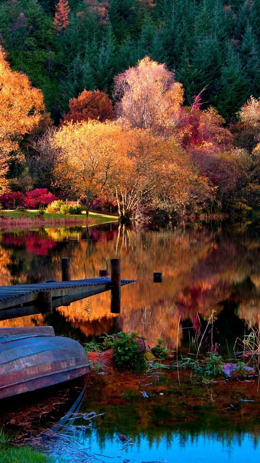 720x1280 boat, coast, bottom, autumn, lake, surface, trees, wood, reflection, colors, brightly, ligh…, boats autumn lake HD phone wallpaper