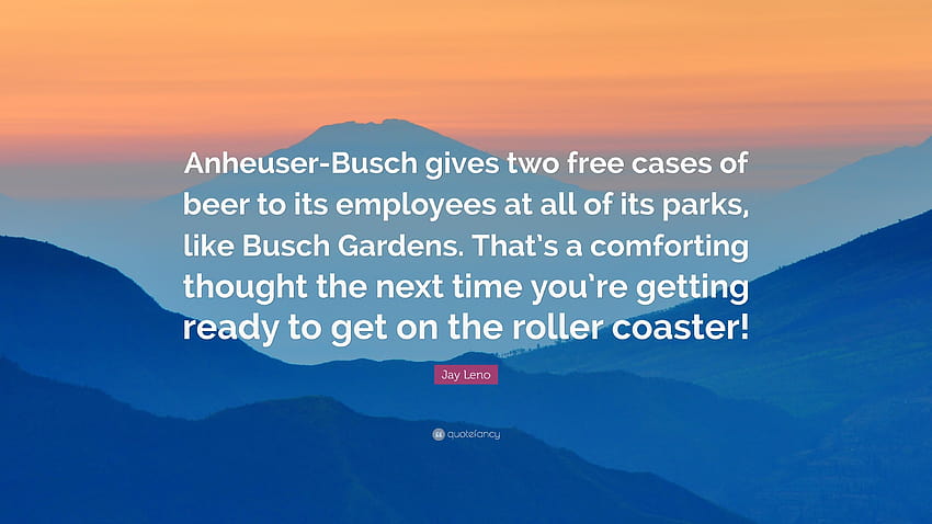 6 เบียร์ Busch, anheuser busch วอลล์เปเปอร์ HD