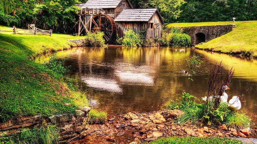 Beautiful Farm Lake Cottage Ducks HD wallpaper