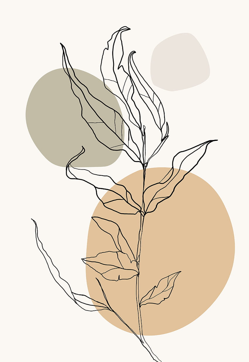 One line drawing botanical print, one line art HD phone wallpaper
