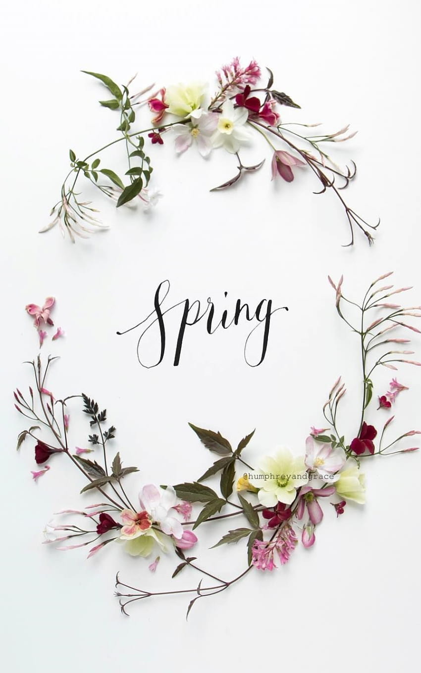 Spring Aesthetic Hello Spring 1904083 [1080x1350] for your , Mobile ...