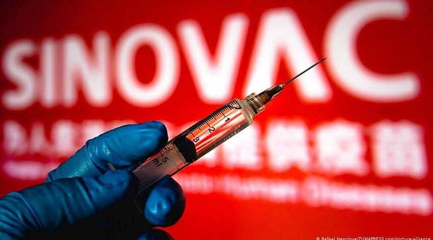 Eficácia da vacina Sinovac Covid incerta, apesar dos resultados do Brasil, Turquia e vacina sinovac covid 19 papel de parede HD