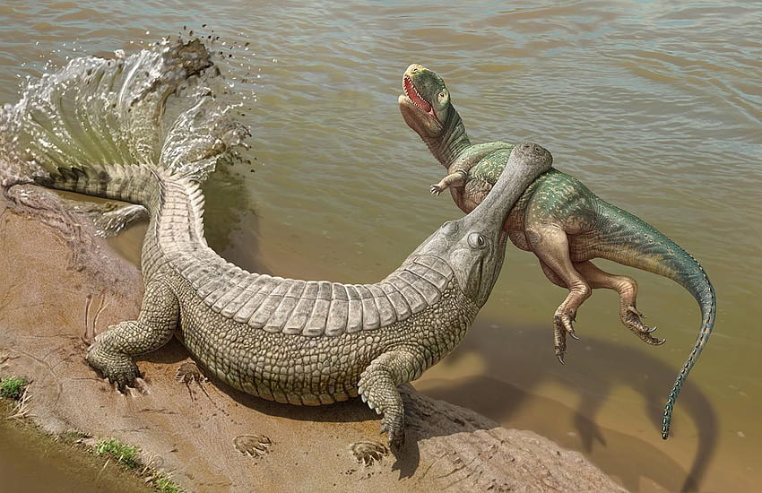Paleontological reconstruction of sarcosuchus imperator Палеонтологическая реконструкция Саркозуха HD wallpaper