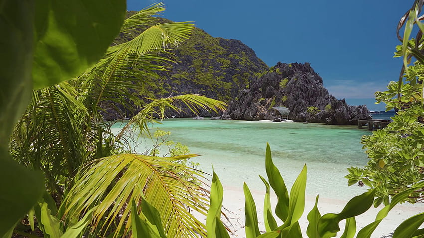 Hidden or Star Beach foliage moving on ocean breeze. Pure paradise nature in Tapiutan Island in El Nido, Palawan, Philippines. Tour C route and Sightseeing Place Stock Video Footage HD wallpaper