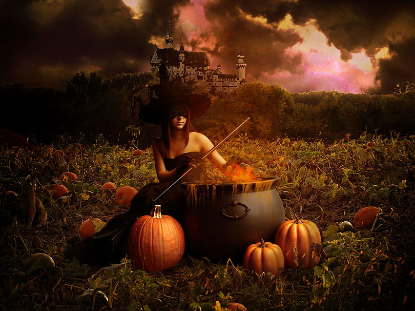 5 Scary Halloween 2019 , Backgrounds, Pumpkins, Witches, Bats & Ghosts, halloween farm HD wallpaper