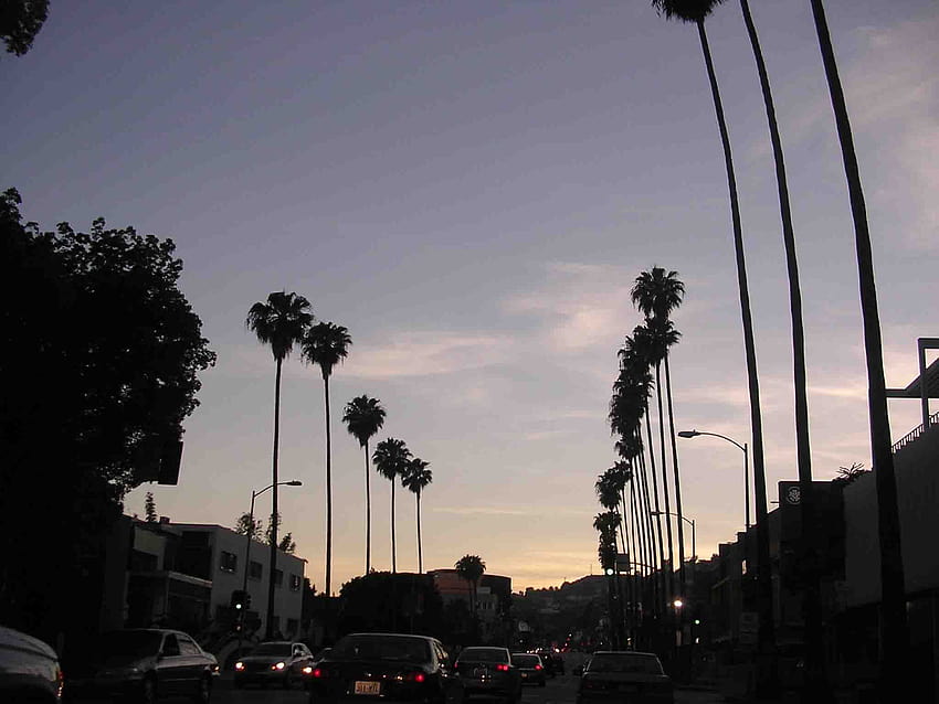 Sunset Boulevard Los Angeles, blvd Quick HD 월페이퍼