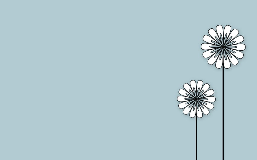 Inspirierender minimalistischer Webdesign-Kern [1440x900] für Ihr , Handy & Tablet, minimalistisches Blumenweiß HD-Hintergrundbild