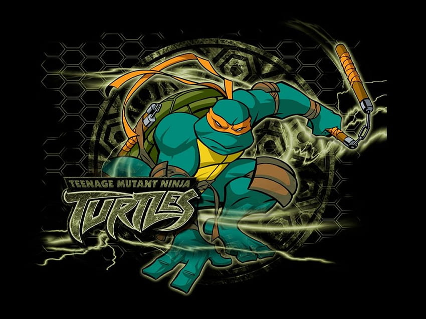 Kreskówka Teenage Mutant Ninja Turtles [1024x768] na telefon komórkowy i tablet, tmnt 2003 Tapeta HD