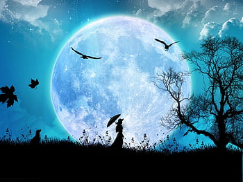 Hãy quay vào đêm trăng lấp lánh để cảm nhận sự lãng mạn và tuyệt đẹp của vầng trăng. Chỉ cần một vài bước chân là bạn đã được trải nghiệm tình đêm rực rỡ như trong cơn mơ.