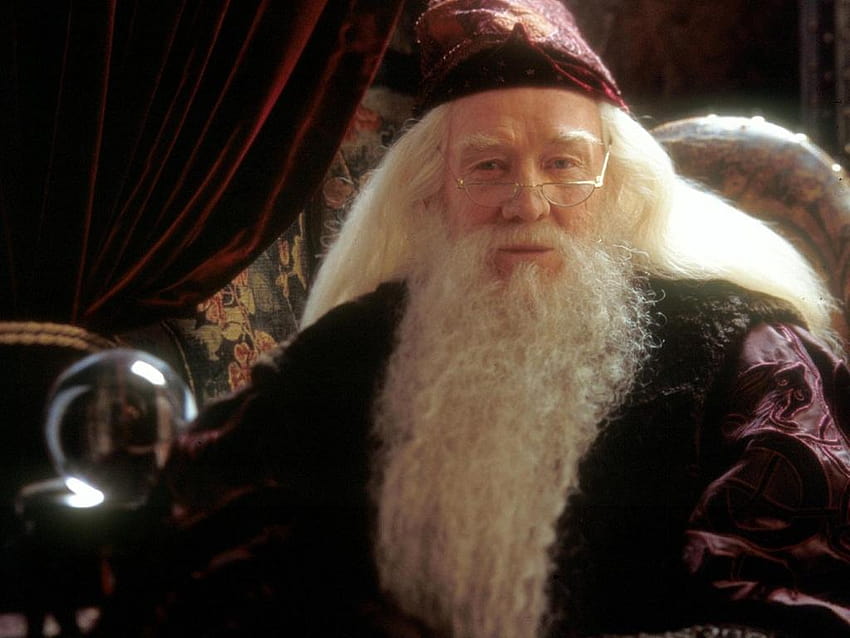 Hogwarts Professors Albus Dumbledore, professor albus dumbledore HD wallpaper