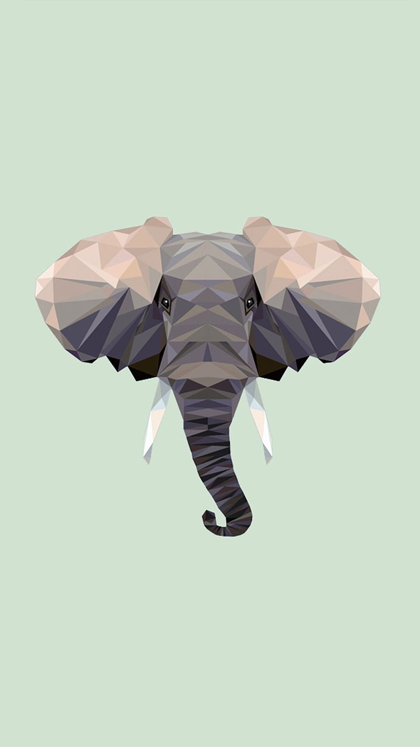 Elefante Per M, logo dell'elefante Sfondo del telefono HD