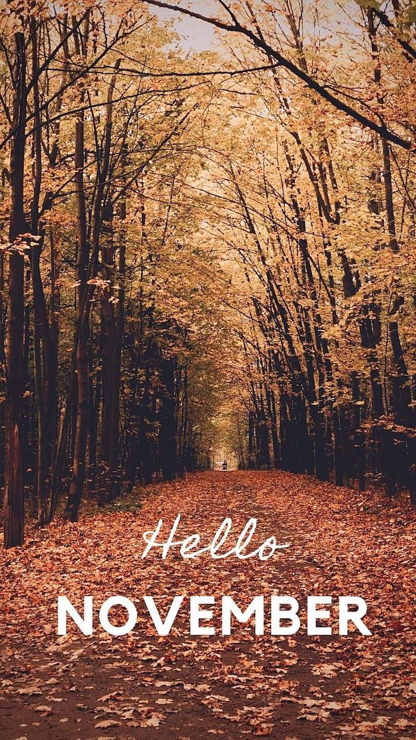 ▷ 100 ideas To Decorate Your Screen With A Fall iPhone, autumn colors aesthetic HD phone wallpaper