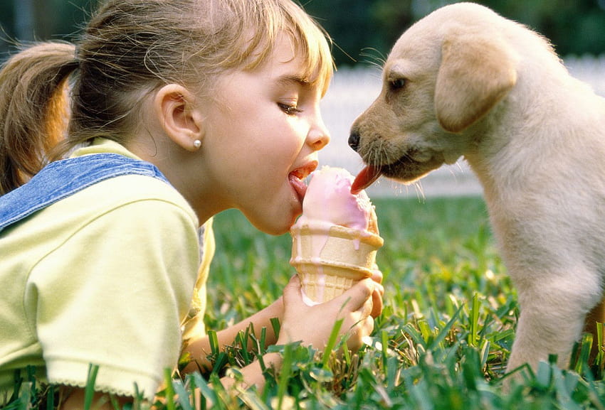Ragazza e cucciolo di cane leccare il cono gelato, cane gelato Sfondo HD