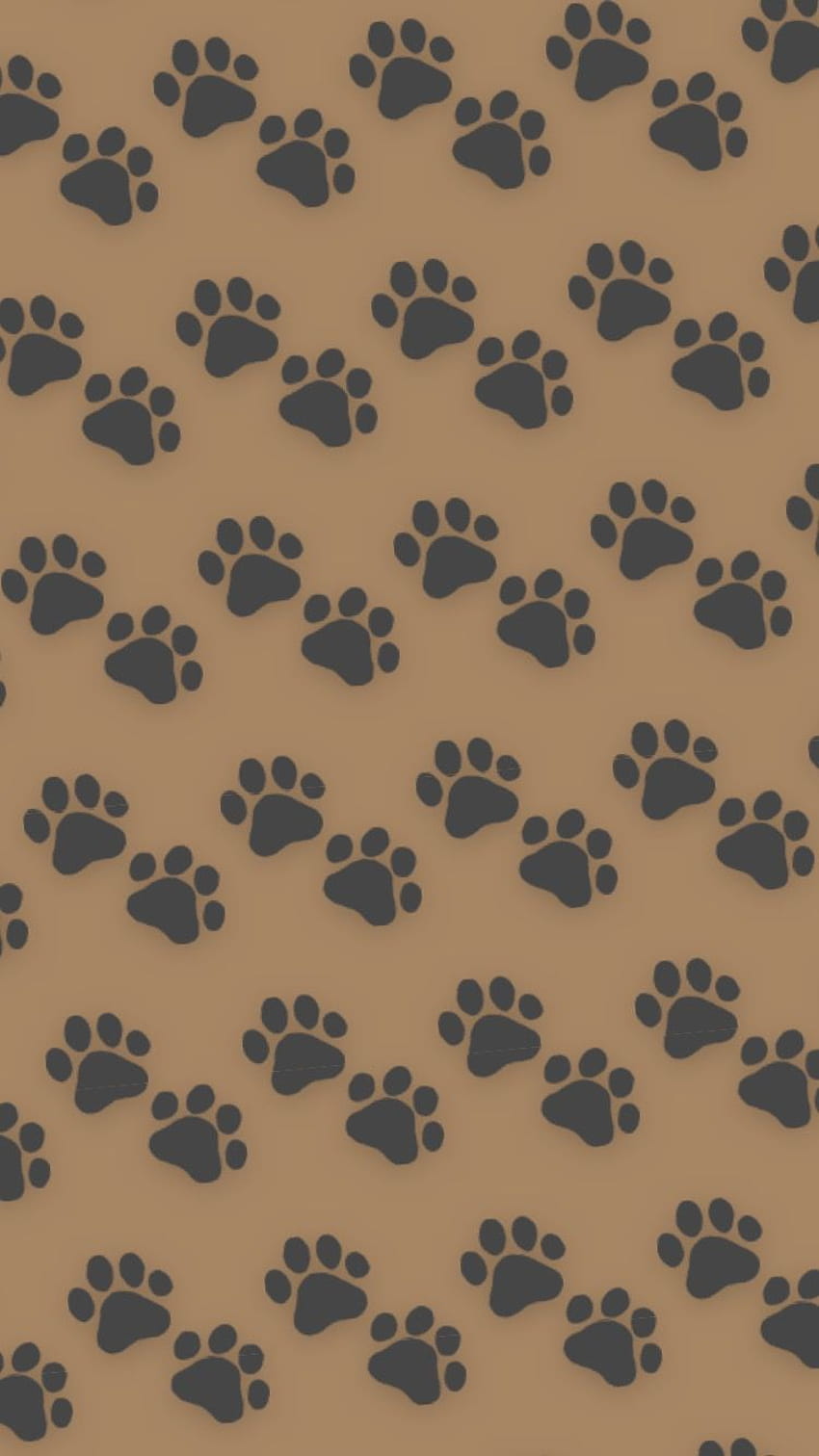 Colourful Decorative Animal Paw Print Background Wallpaper Pattern Stock  Photo Picture And Royalty Free Image Image 3697934