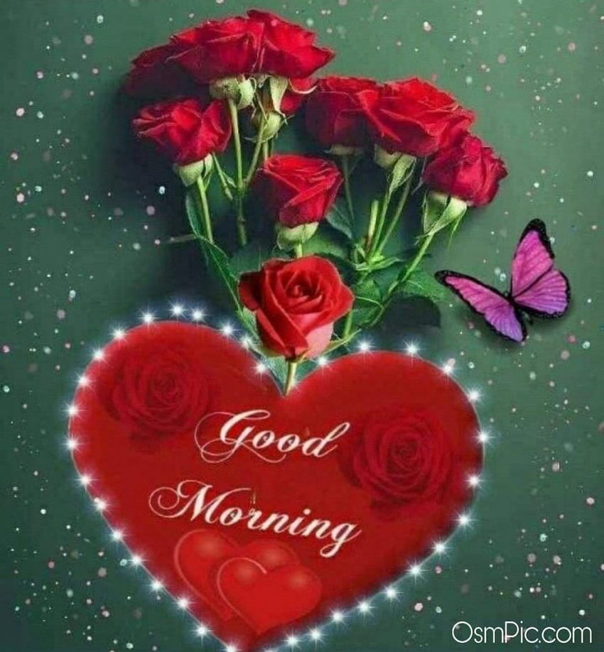 55 рози за добро утро с романтични, червени рози, цветя за добро утро HD тапет за телефон