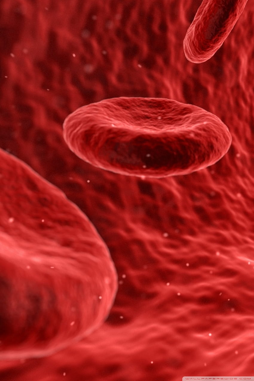 Rote Blutkörperchen-Mikroskop-Ultra-Hintergründe für U-TV: Breit & UltraWide & Laptop: Multi-Display, Dual-Monitor: Tablet: Smartphone HD-Handy-Hintergrundbild