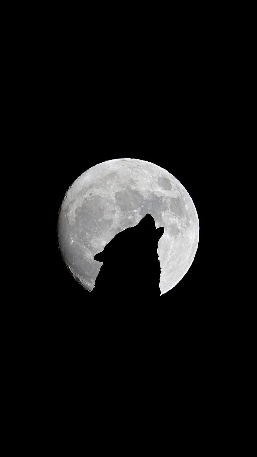 938x1668 full moon, wolf, howl, bw iphone 8/7/6s, wolf and moon HD phone wallpaper